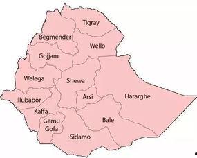 精品产区和二线产区比较,品质与市场的双重较量